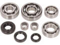 swiing® revival bearing & shaft seal set | Pony Beta 521 swiing® revival bearing & shaft seal set | Pony Beta 521