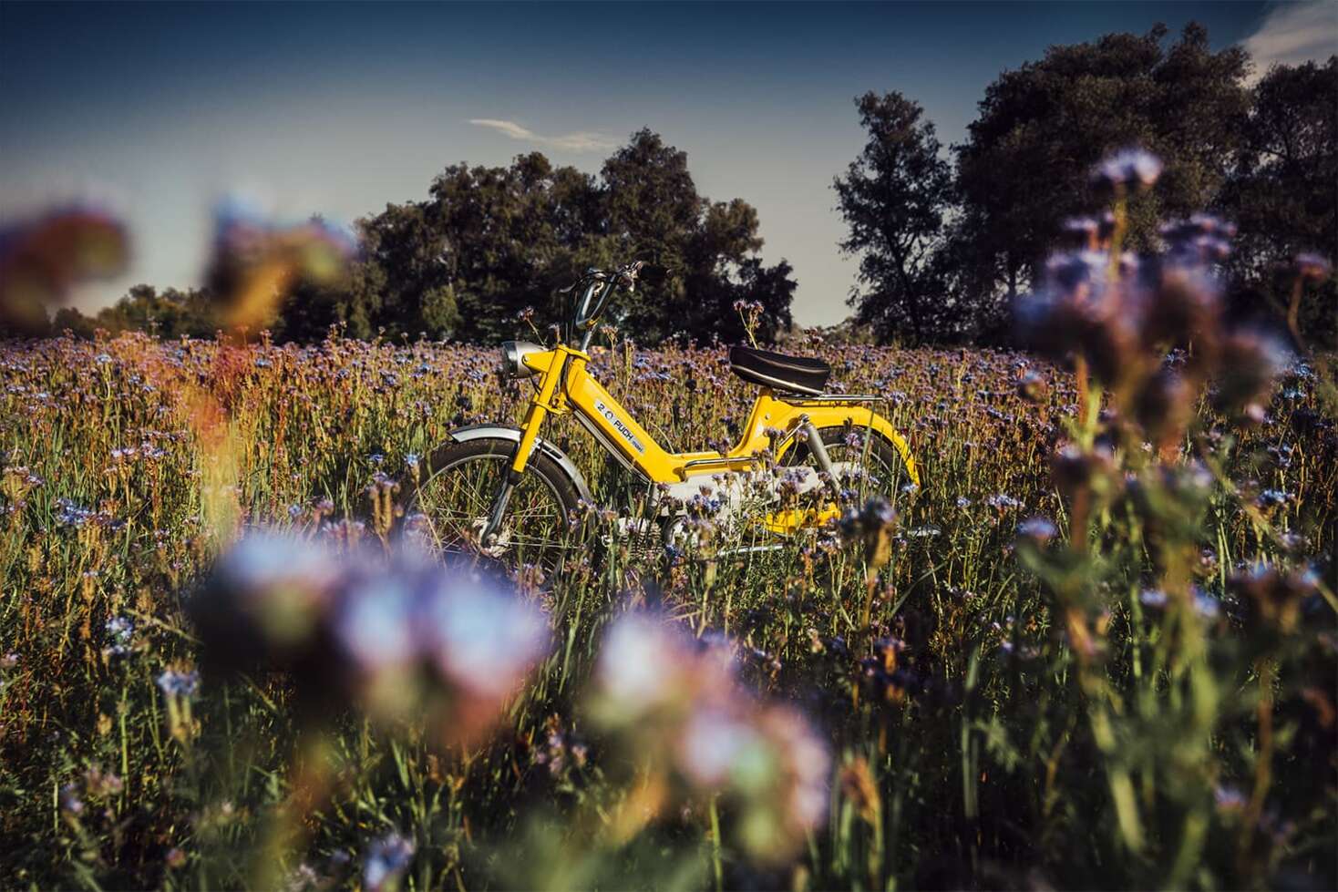 story-image-1-puch-1500 ×1000 story-image-1-puch-1500 ×1000