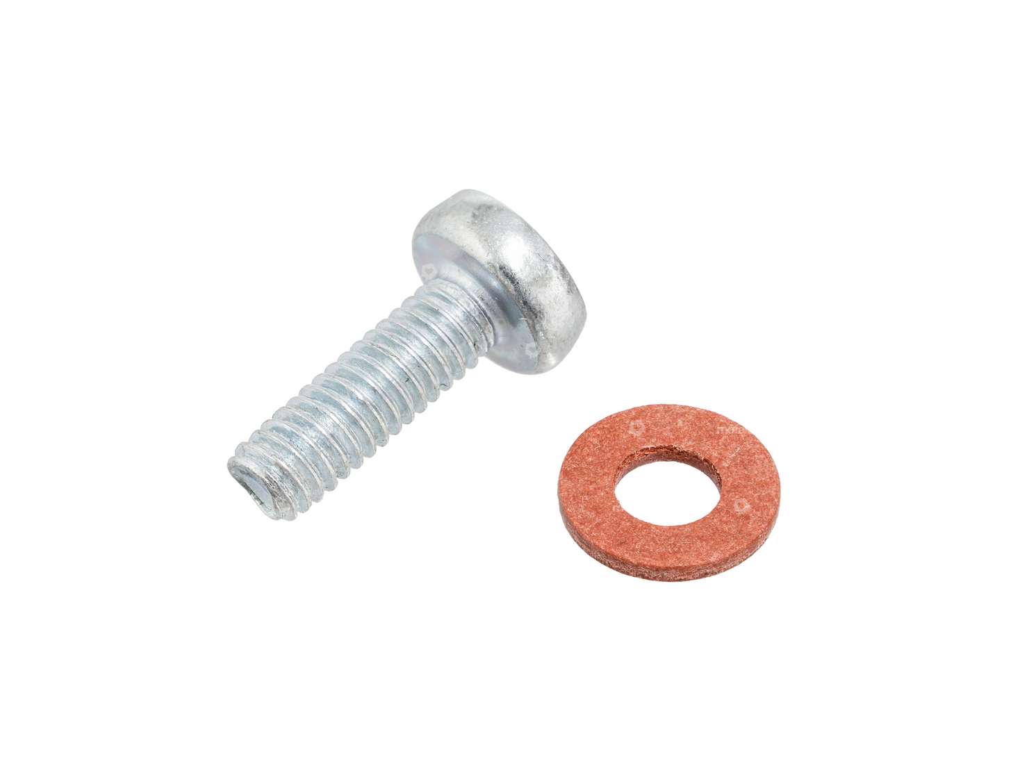 BING Screw & sealing ring fuel inlet Bing 17, 18 Carousel Image 1