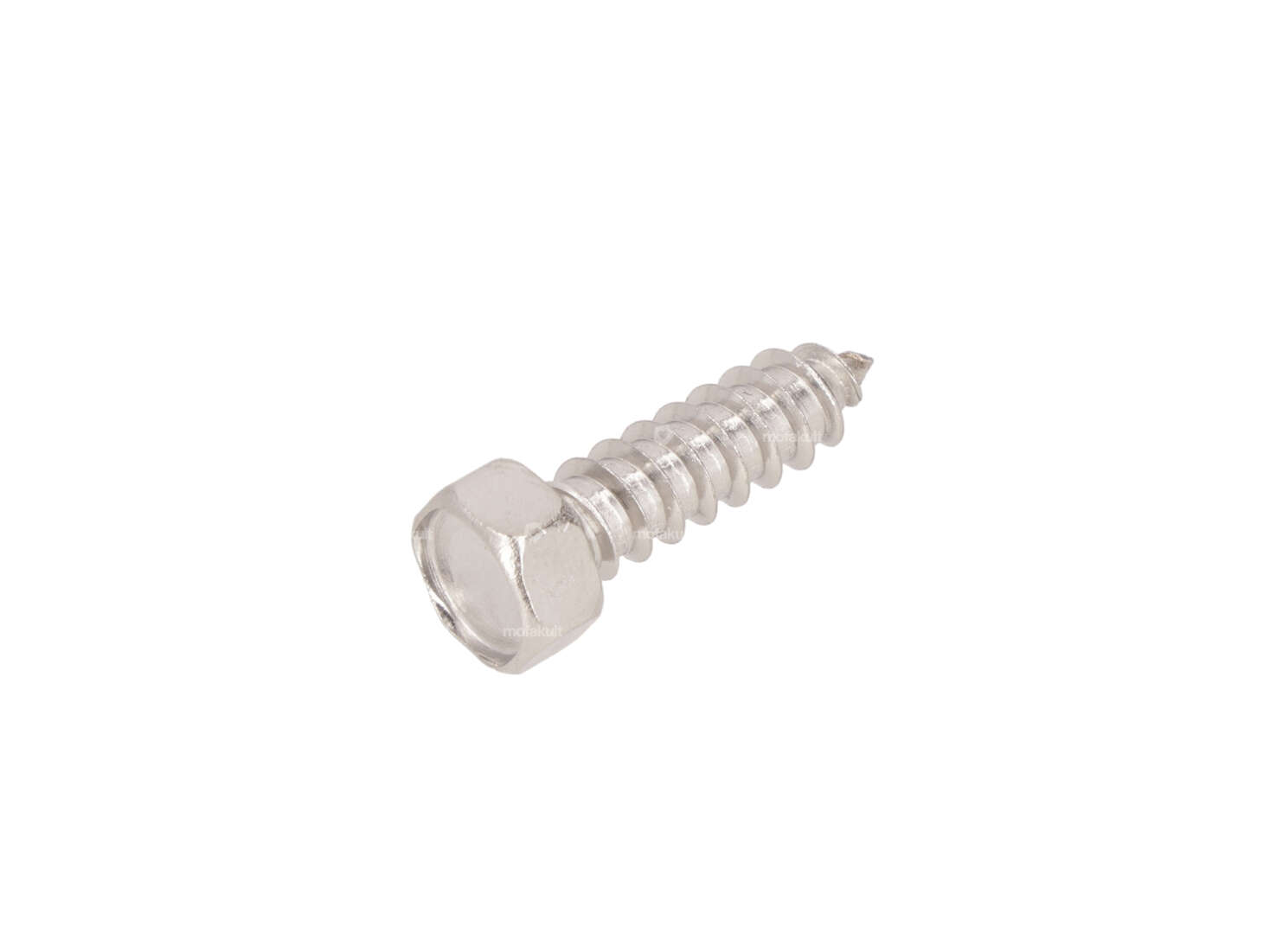 Sheet metal screw Ø 5.5x19 hexagon inox Carousel Image 1