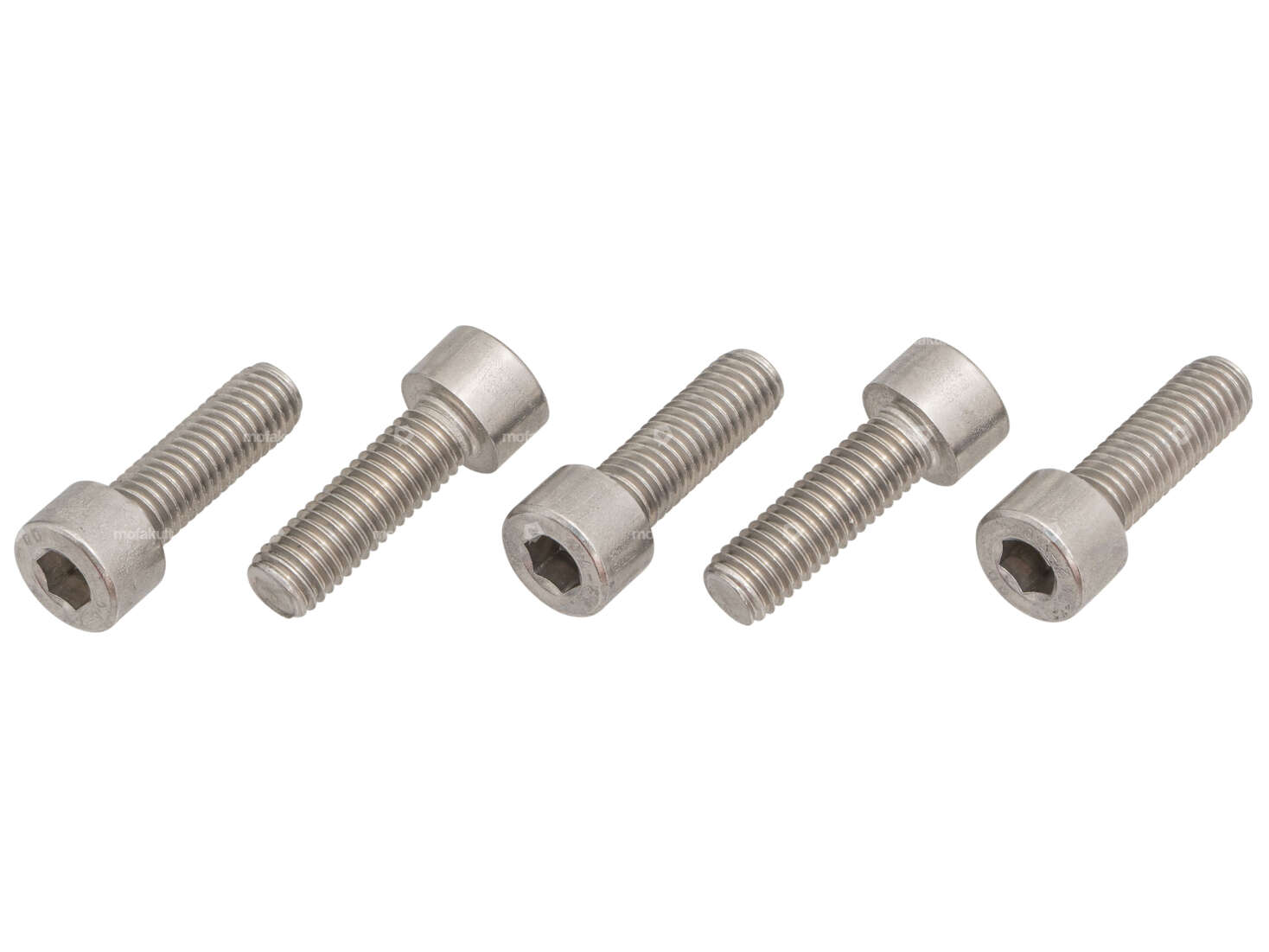 GPO screws (5 pieces) cast hub Inox | Puch Carousel Image 1