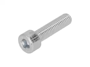 Screw M5x20 cylinder head hexagon socket, galvanized Screw M5x20 cylinder head hexagon socket, galvanized