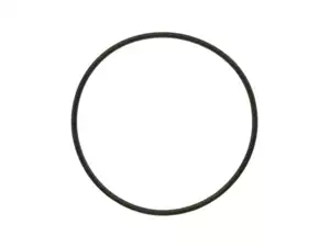 O-ring cylinder head FPM (up to 200°C) 44 x 1.8 mm | Puch O-ring cylinder head FPM (up to 200°C) 44 x 1.8 mm | Puch