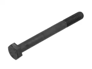 Screw M10x1.25 x 100 hexagon black (10.9 strength) Screw M10x1.25 x 100 hexagon black (10.9 strength)