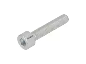Screw M6x30 cylinder head hexagon socket, galvanized Screw M6x30 cylinder head hexagon socket, galvanized